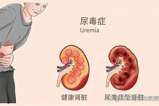 开云网页版在线登录官网入口截图2